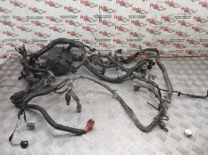 Проводка двс Nissan Navara 2007 240124X50A D40 YD25DDTI