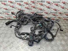 Проводка двс Honda CR-V 2008 32110RZVG650 RE5 R20A2