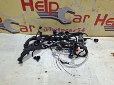 Проводка двс Chery Tiggo 7 Pro 2023 806002860AA T1E SQRF4J16