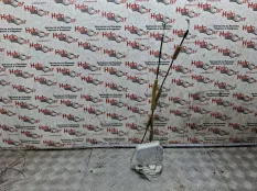 Замок двери Mazda Mazda 6 2008 GS1D73310B R2AA, задний левый