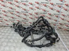 Проводка двс Honda CR-V 2010 32110RZVG650 RE5 R20A2