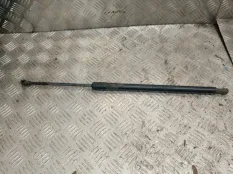 Амортизатор багажника BMW X5 2005 51248402405 E53 M57D30 (306D2)