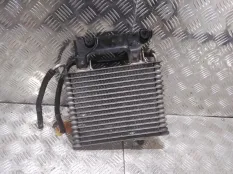 Радиатор масляный Nissan Terrano2 2005 216062X90A R20 ZD30DDTI