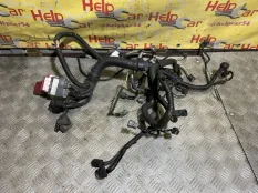 Проводка двс Nissan Qashqai 2010 24011JD03A J10 MR20DE