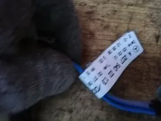 Проводка двери Mercedes-Benz E-класс W212/S212/C207/A207 (2009—2013)