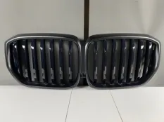 Декоративная решетка радиатора (Iconic glaw) BMW