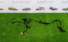 Проводка двери передняя левая Hyundai Santa Fe TM