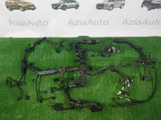 Проводка ДВС Kia Stinger