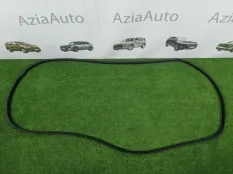 Уплотнитель двери задний левый Hyundai Santa Fe TM