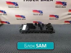 A0004466761 Блок управления шасси SAM Chassis 24 V