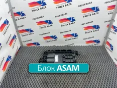 A0024462958 блок управления ASAM