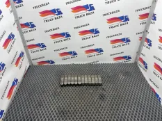 2120320 Комплект мост клапана выпускной Daf XF106