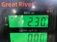 4896311 Насос ГУРа Iveco EuroCargo