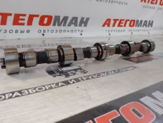 Распредвал Man Tgl 2013 51044016391 12.180 D0834 LFL
