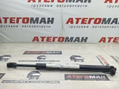Цилиндр подъема кабины Man Tgl 2013 81978122534 12.180 D0834 LFL