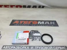 Сальник хвостовика Iveco Daily 95532561