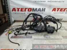 ПРОВОДКА ДВИГАТЕЛЯ Man Tgl 2013 81254246375 12.180 D0834 LFL