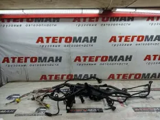 ПРОВОДКА ДВИГАТЕЛЯ Man Tgl 2013 81254246375 12.180 D0834 LFL