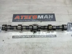 Распредвал Man Tgl 2013 51044016391 12.180 D0834 LFL