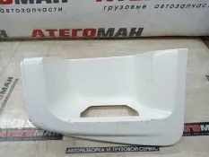 Подножка DAF LF45/85CF/XF95 18500014, передняя левая