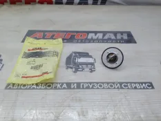 Case New Case New Holland (CNH), ТермостатHolland (CNH), Термостат New Holland Case 87423066