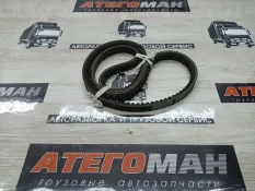 Ремень BLUMAQ BLUMAQ 0412022264