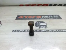 Болт Cat