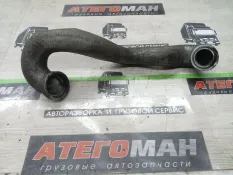 Патрубок Man Tgl 2013 51094113776 12.180 D0834 LFL