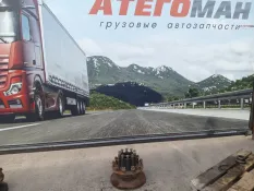 Ступица Mercedes-Benz Axor 9463560201, задняя