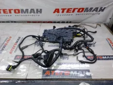 ПРОВОДКА ДВИГАТЕЛЯ Man Tgl 81254246149