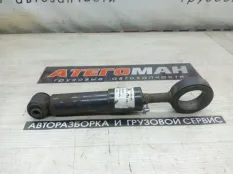 Амортизатор Mercedes-Benz Atego 9703174203, передний