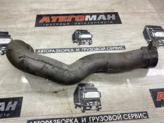 Патрубок Man Tgl 2015 51094123029 ШТОРА D0836 LFL66