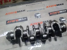 Коленвал Man Tgl 51021006028