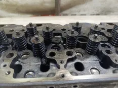 Головка блока цилиндров ГБЦ Man Tgm 51031006273 D0836 LFL