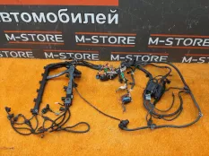 Коса двс BMW 3-Series E90 N52B25A 2009