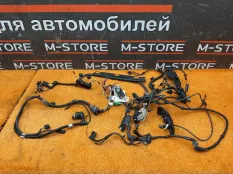 Коса двс BMW 1-Series E87 N43B16A 2011