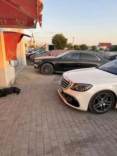 Фото компании AlTim