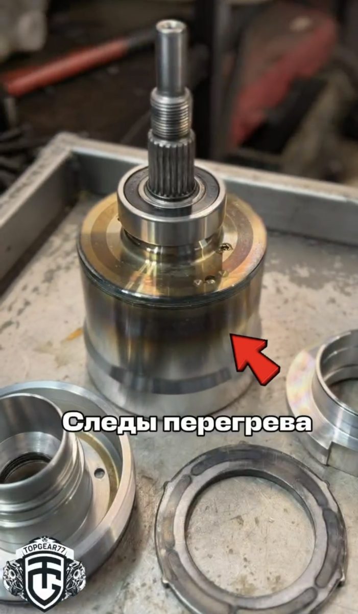 17839786166a555a78cd1899.52237174.jpeg