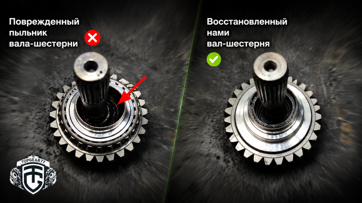 17848059836a61fa5f2d0ed8.61943833.png