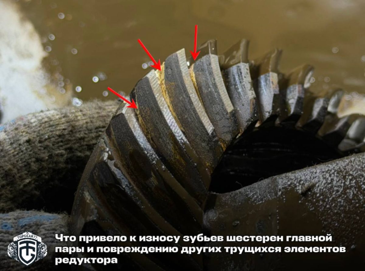 17885555546a9b31229bea60.94197440.jpeg